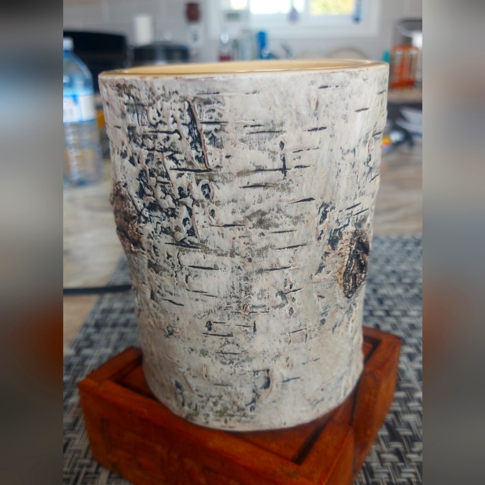Scentsy warmer